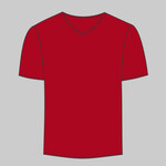 LA T Adult Fine Jersey V-Neck T-Shirt